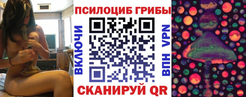 Галлюциногенные грибы Psilocybine cubensis  мега ТОР  Щёлкино 